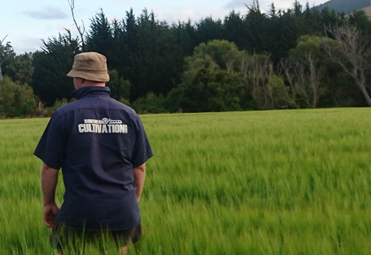 Southern Cultivation Ltd - Agricultural Contractor South Otago and Southland