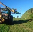 Southern Cultivation Ltd - Hedge Trimming in Southland and South Otago