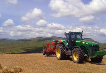 Southern Cultivation Ltd - Direct Drilling in Southland and South Otago